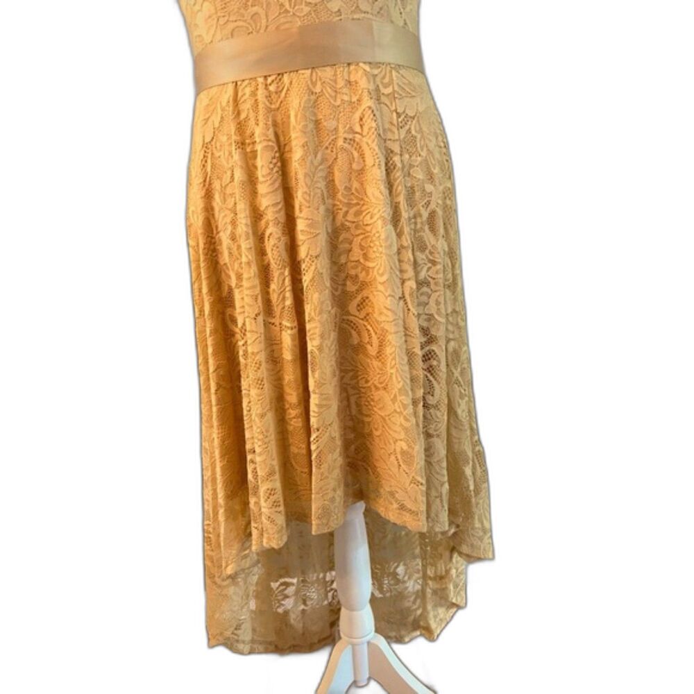 Berry Love High Low Formal Dress XL Chiffon Champagne (Formal or Wedding) - Picture 7 of 13